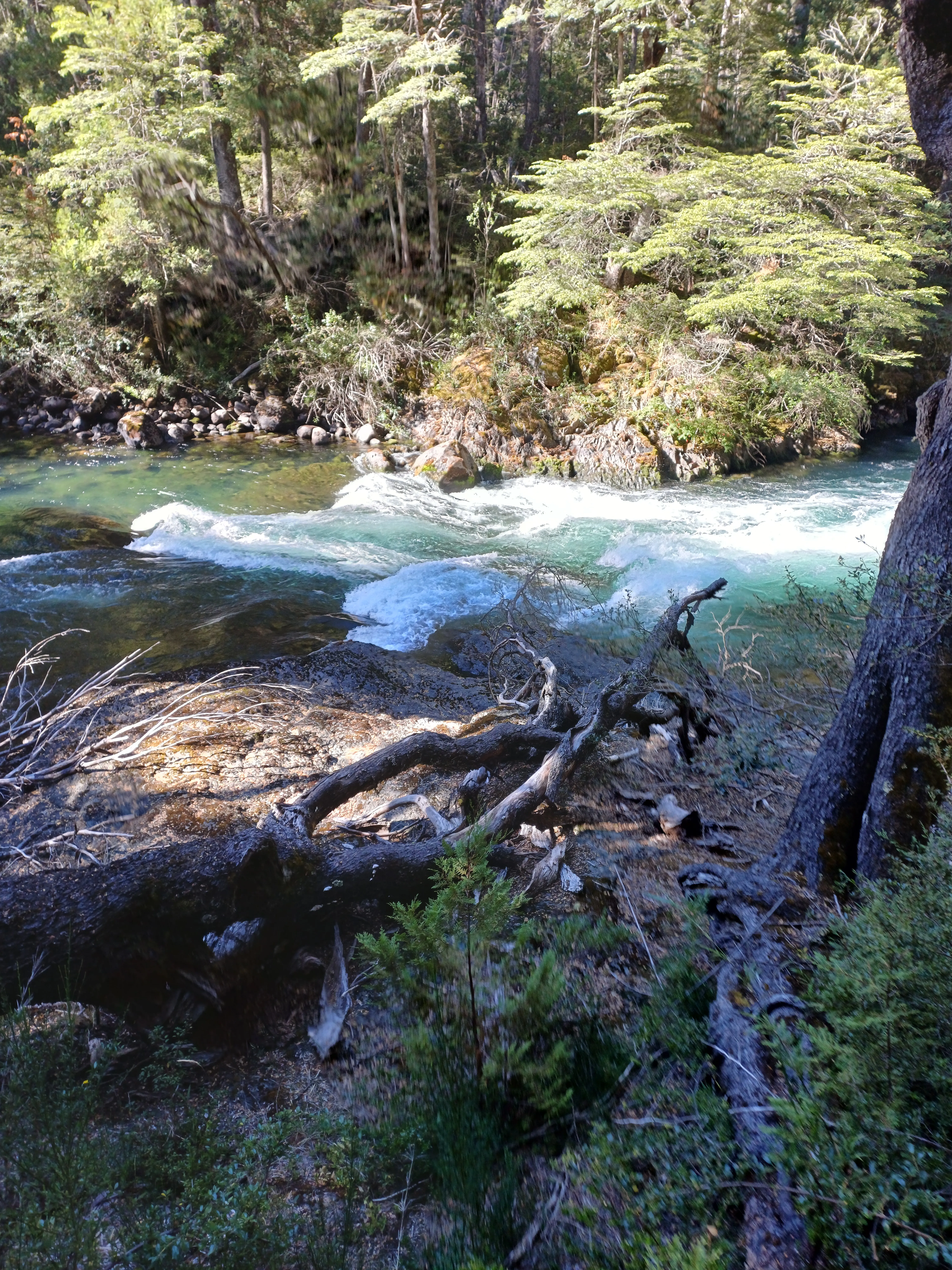 Bariloche 24